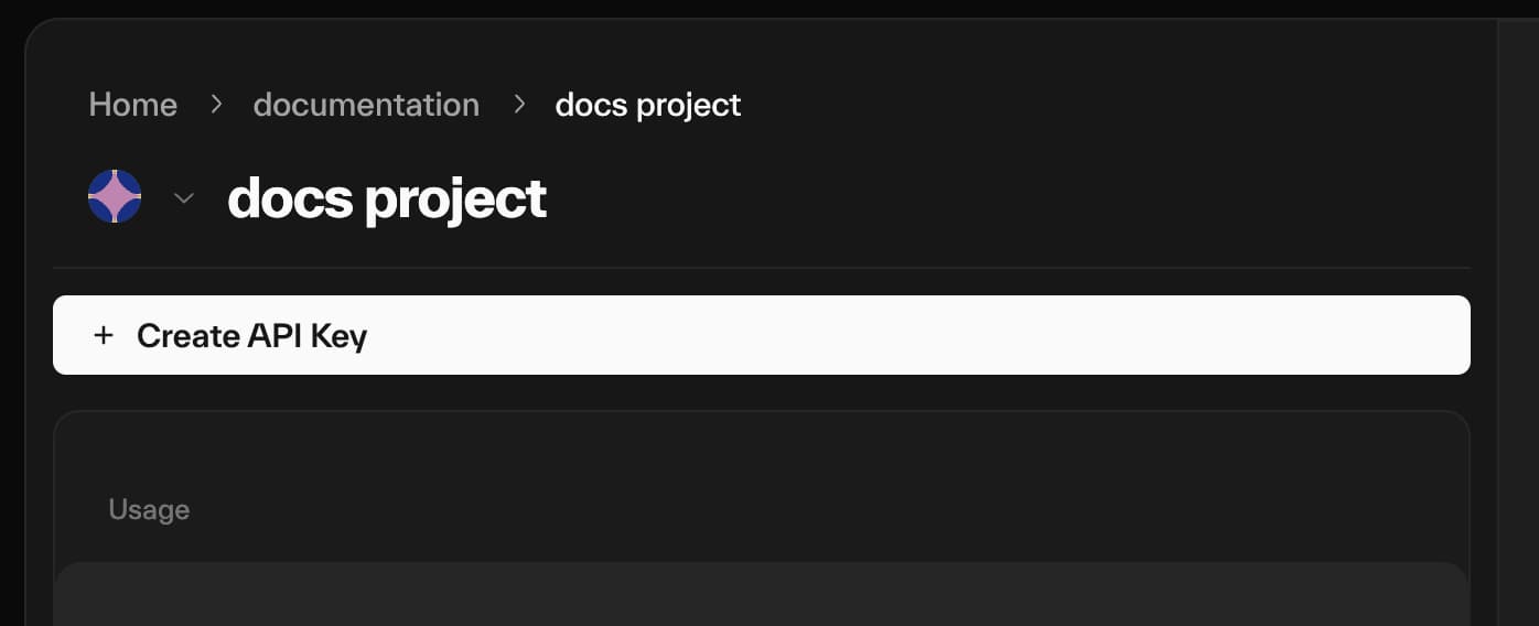 Taostats API "docs project" dashboard with a "+ Create API Key" button above a Usage panel