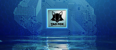 TAO FOX